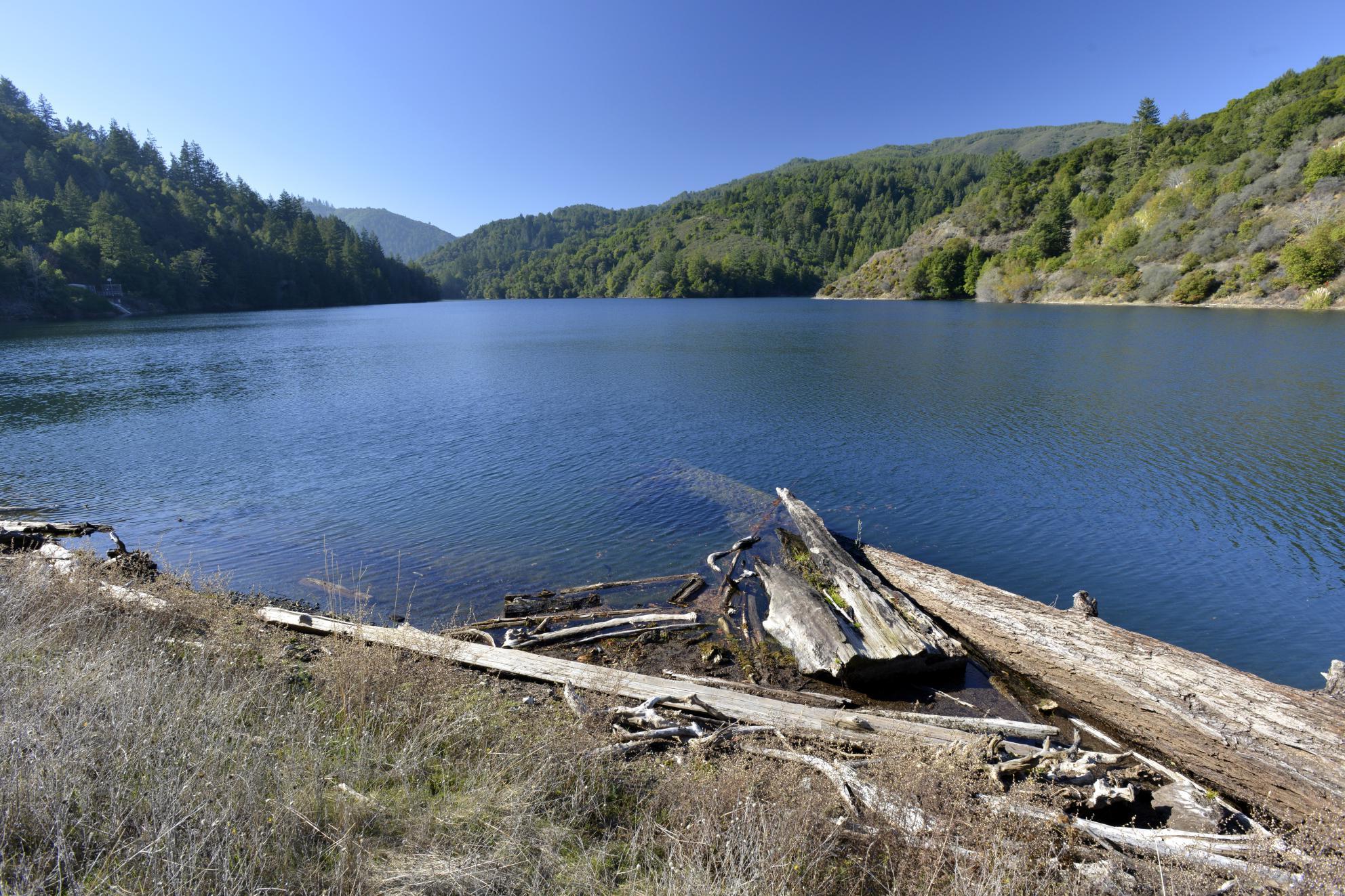 A view across SJW's Lake Elsman reservoir.