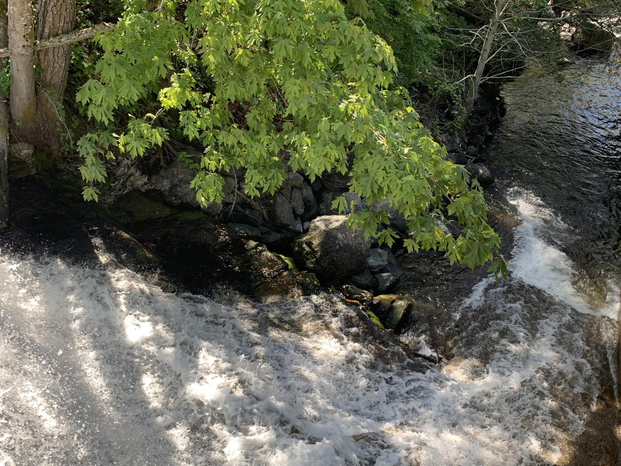 Waterfall at Saratoga Water Treatment Plant
